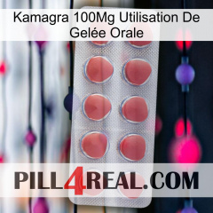 Kamagra 100Mg Utilisation De Gelée Orale 18
